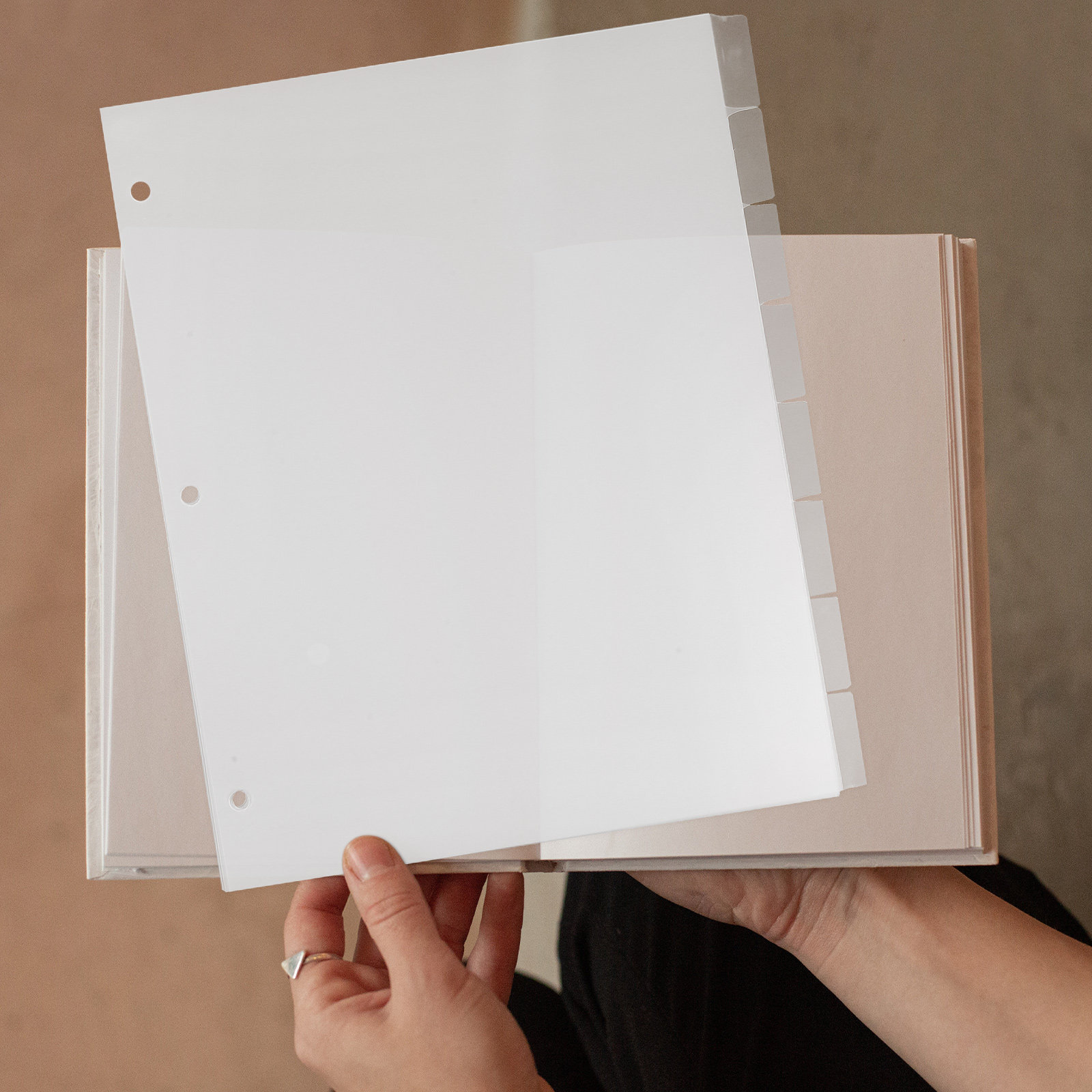 8Sheets Index Dividers Sturdy  - Index Tab Divider review and price