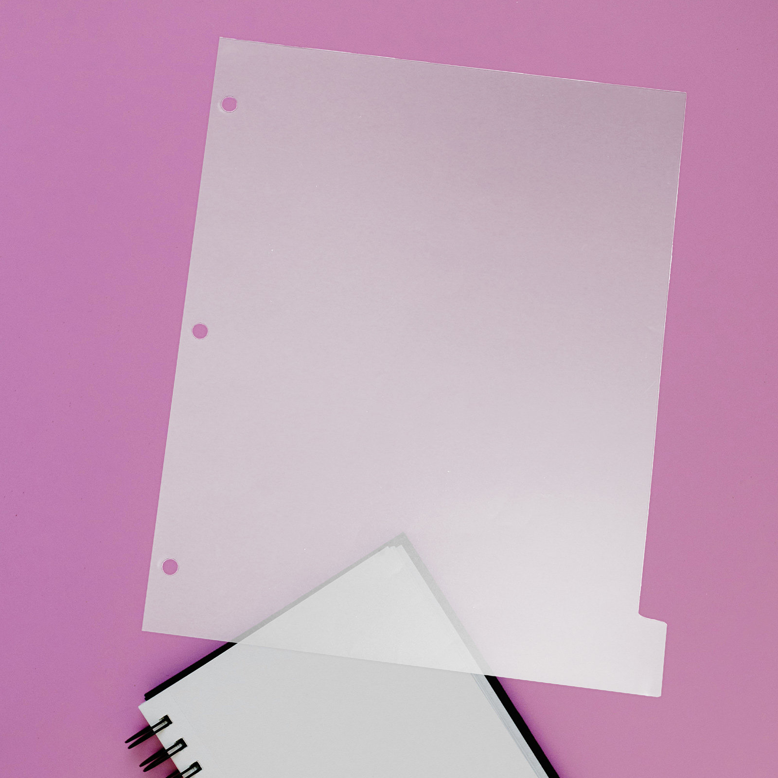 8Sheets Index Dividers Sturdy  - Index Tab Divider review and price